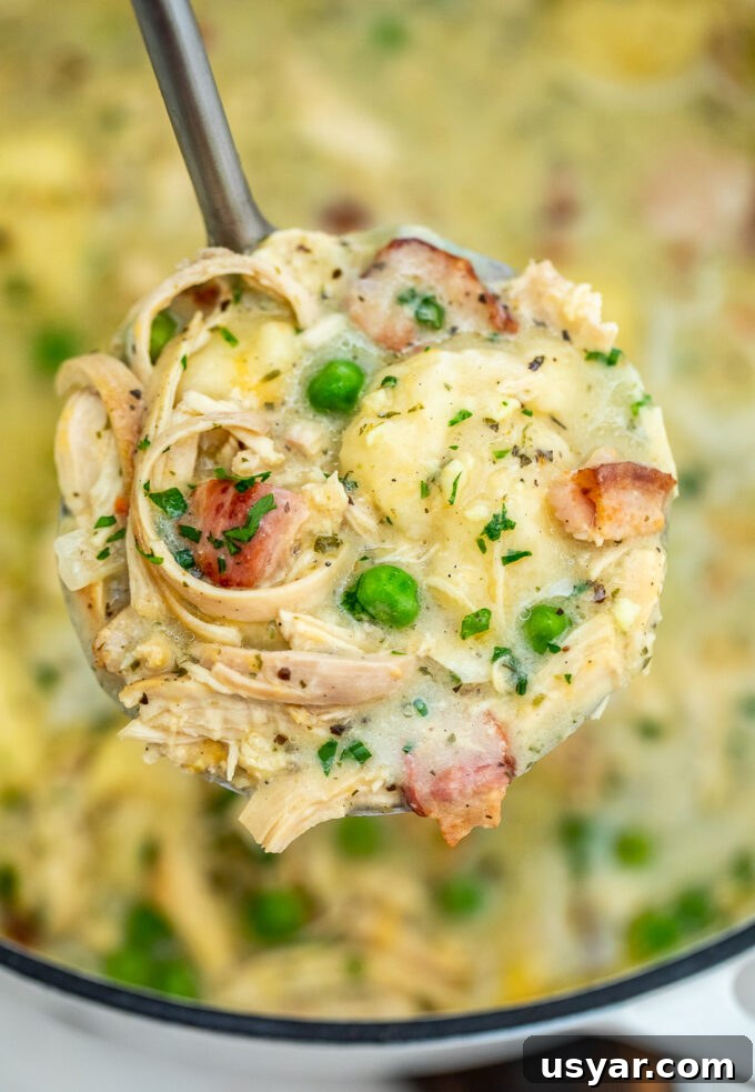 Creamy Crack Chicken and Dumplings Recipe 3 Photo of crack chicken and dumplings.