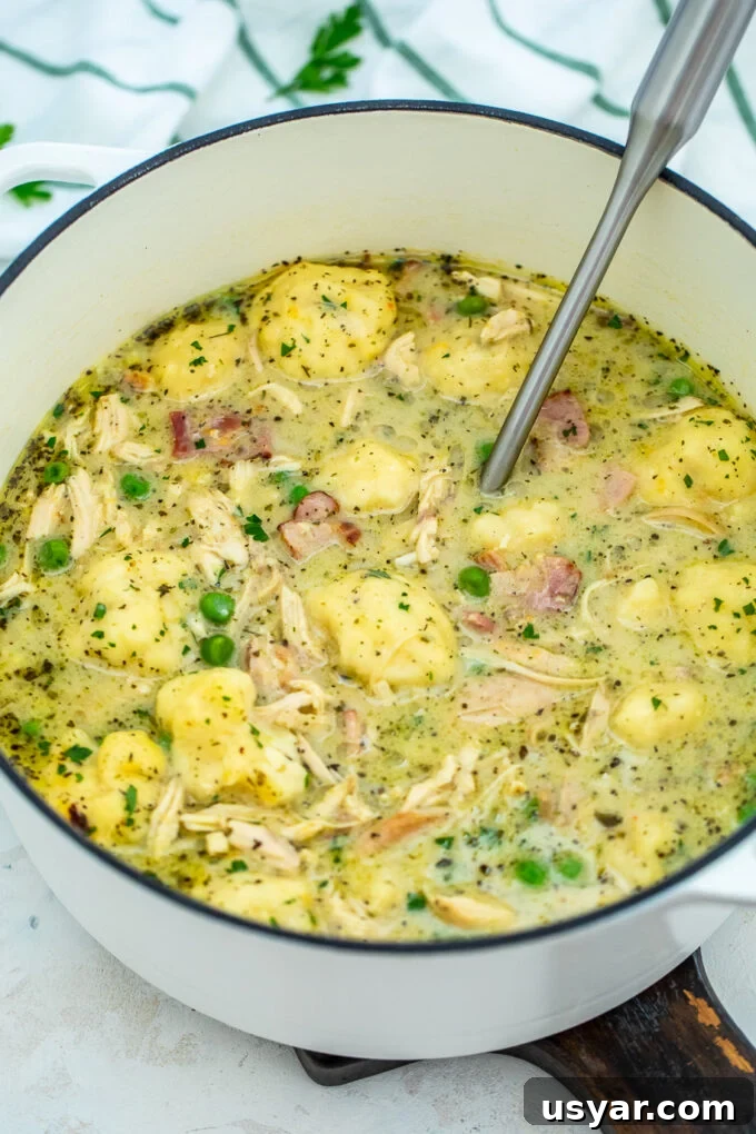 Creamy Crack Chicken and Dumplings Recipe 4 Photo of classic chicken and dumplings.