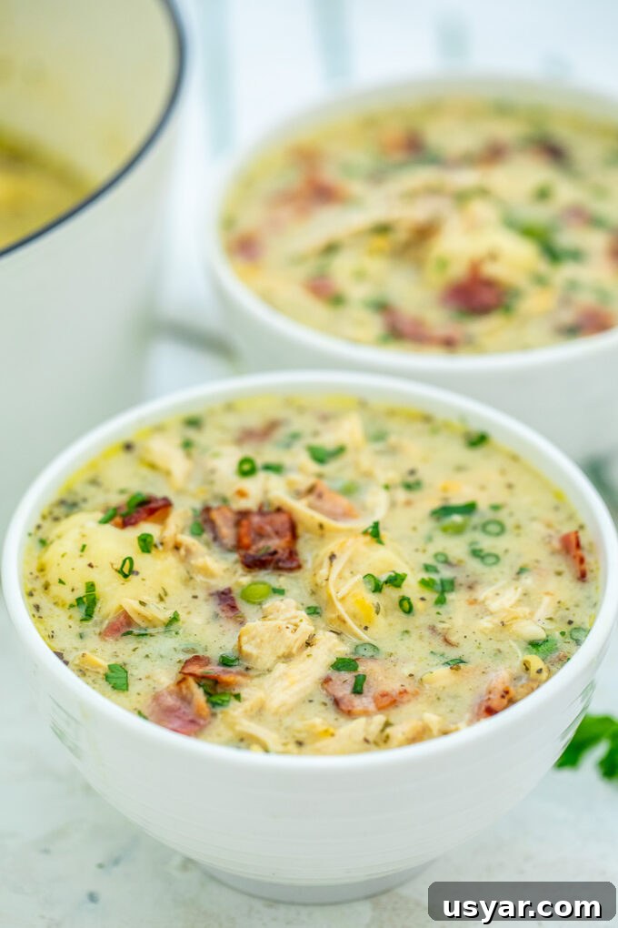 Creamy Crack Chicken and Dumplings Recipe 5 Crack chicken and dumplings in a white bowl photo.