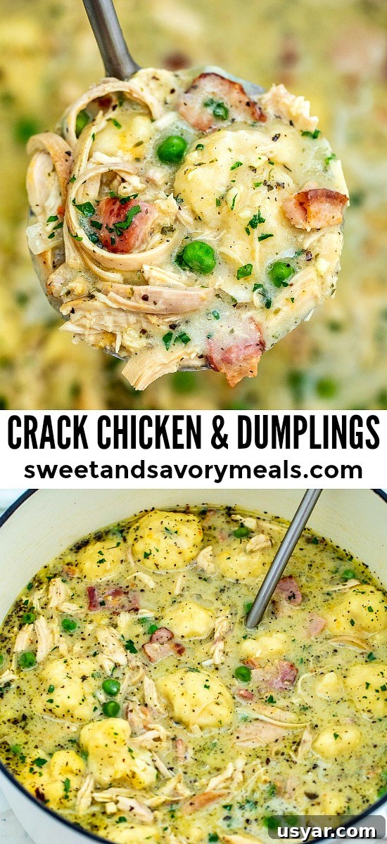 Creamy Crack Chicken and Dumplings Recipe 7 Photo of homemade chicken and dumpling