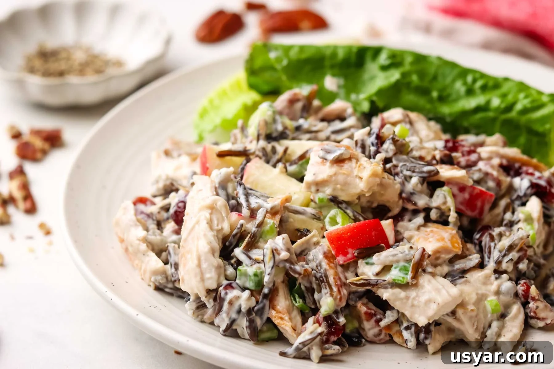 Chicken and Wild Rice Salad Recipe 6 a plate served with chicken and wild rice salad