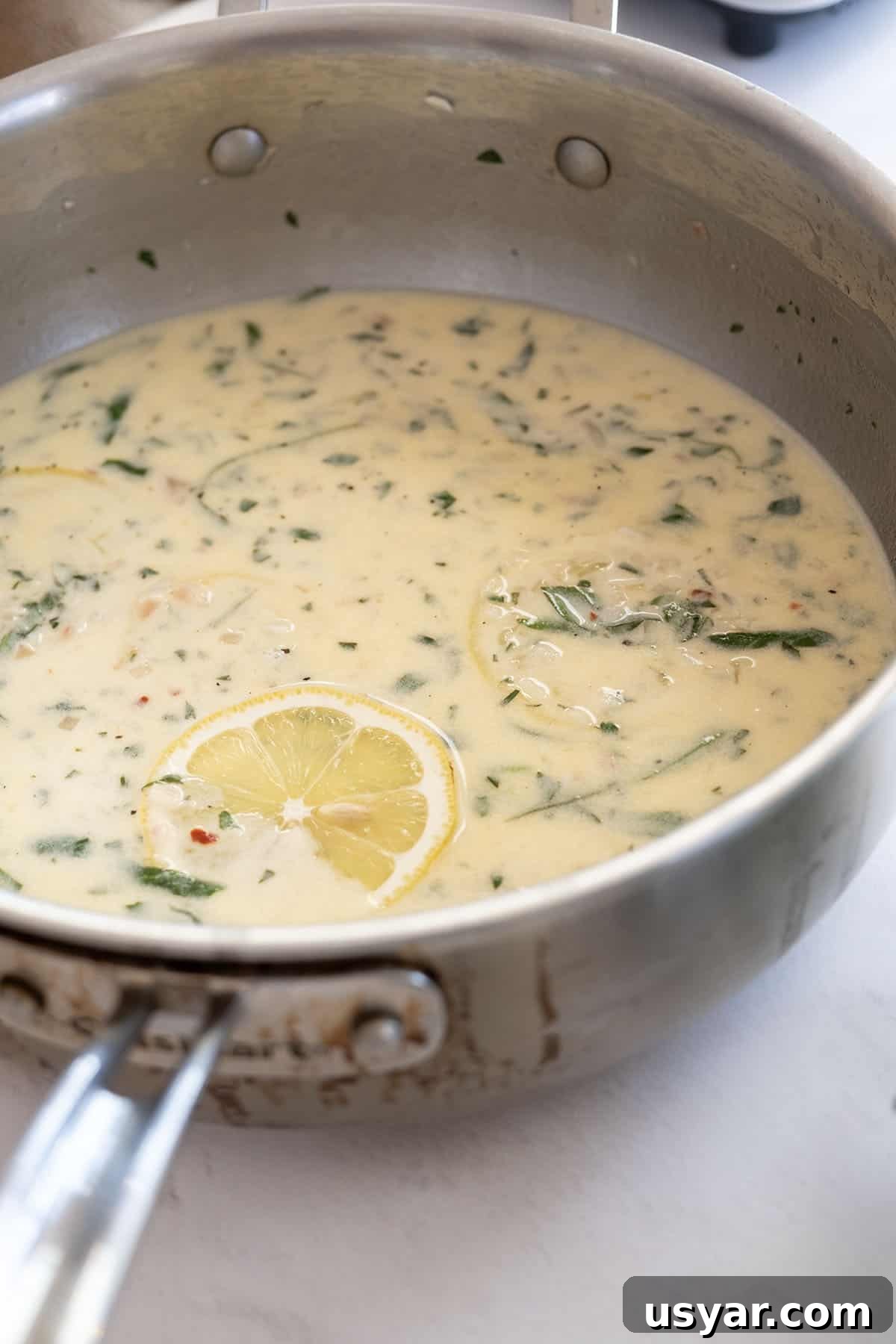 Creamy Lemon Sauce Recipe for Pasta, Chicken and Fish 10 creamy lemon sauce