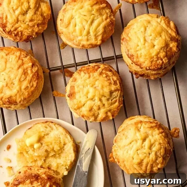 No-Bake Peanut Butter Oat Energy Balls Recipe 6 A round wire rack with baked Cheese Scones on and one buttered on a plate.