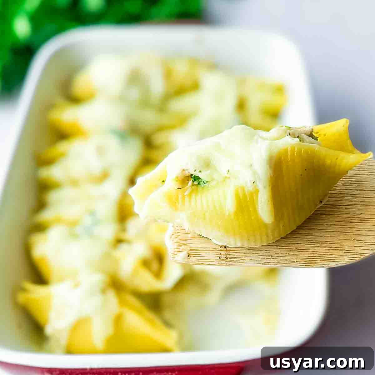 Creamy Chicken Alfredo Stuffed Shells with Spinach 11 A wooden spoon lifting up a stuffed pasta shell from the casserole dish.