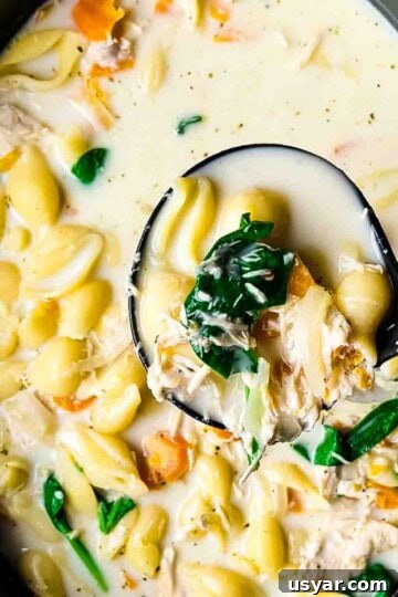 A closeup of a spoon lifting up some creamy chicken soup out of the slow cooker.