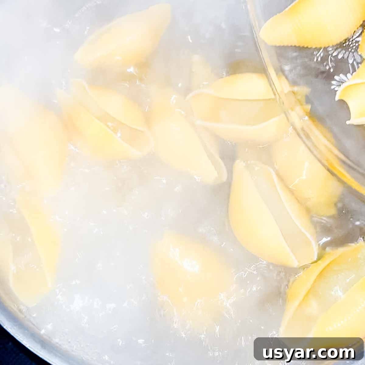 Creamy Chicken Alfredo Stuffed Shells with Spinach 4 Large pasta shells boiling in a large pot of salted water.