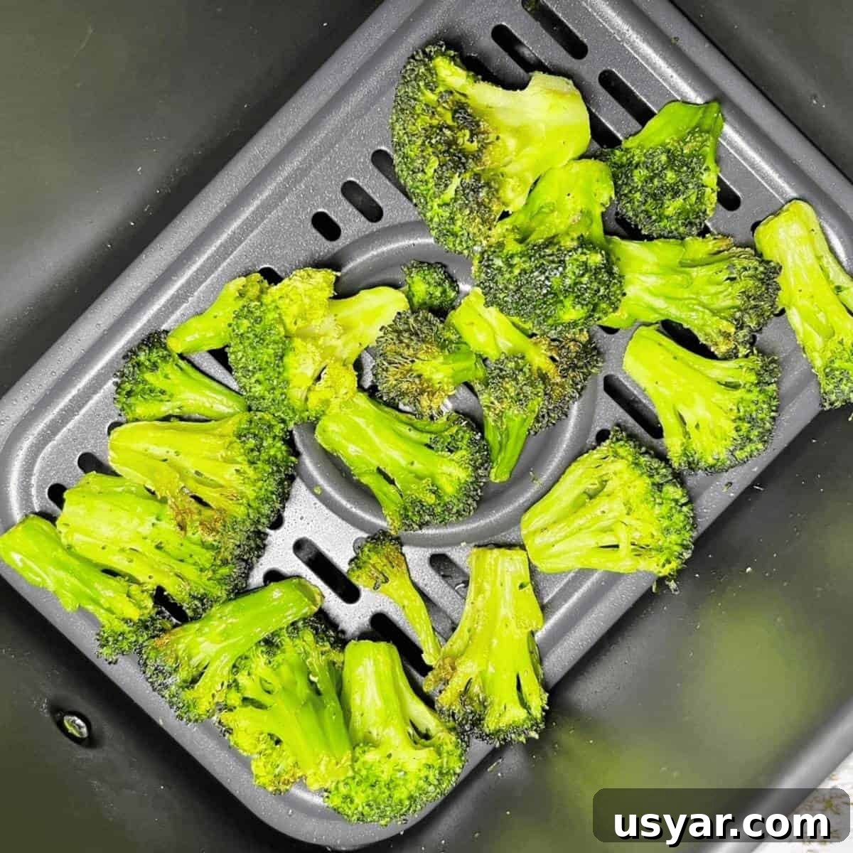 Creamy Chicken Alfredo Stuffed Shells with Spinach 5 Cooked and tender air fried broccoli in the air fryer basket.