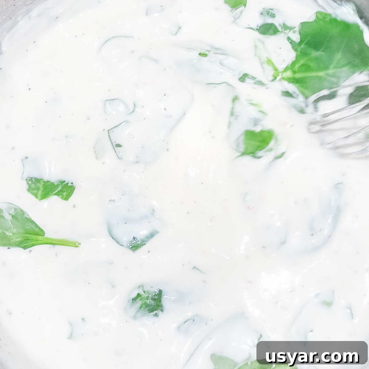 Creamy Chicken Alfredo Stuffed Shells with Spinach 6 Spinach being added to the alfredo sauce in a saucepan.