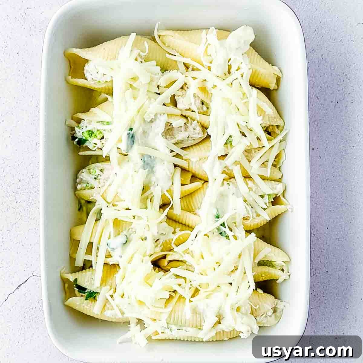 Creamy Chicken Alfredo Stuffed Shells with Spinach 9 The alfredo filled pasta shells arranged in a baking dish, topped with more sauce and shredded cheese.