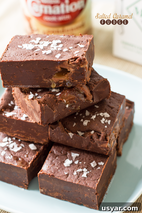 Salted Caramel Fudge Recipe from Secret Recipe Club 2 Salted Caramel Fudge | Annie's Noms