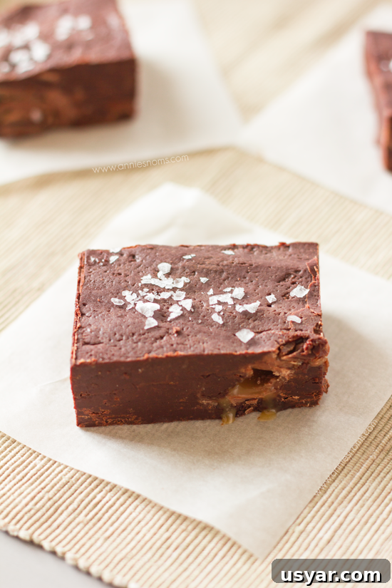 Salted Caramel Fudge Recipe from Secret Recipe Club 3 Salted Caramel Fudge | Annie's Noms
