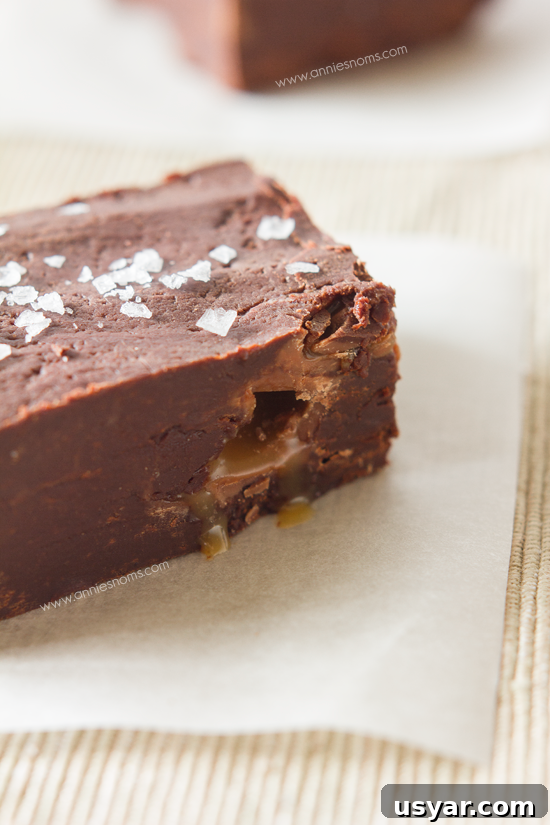 Salted Caramel Fudge Recipe from Secret Recipe Club 4 Salted Caramel Fudge | Annie's Noms