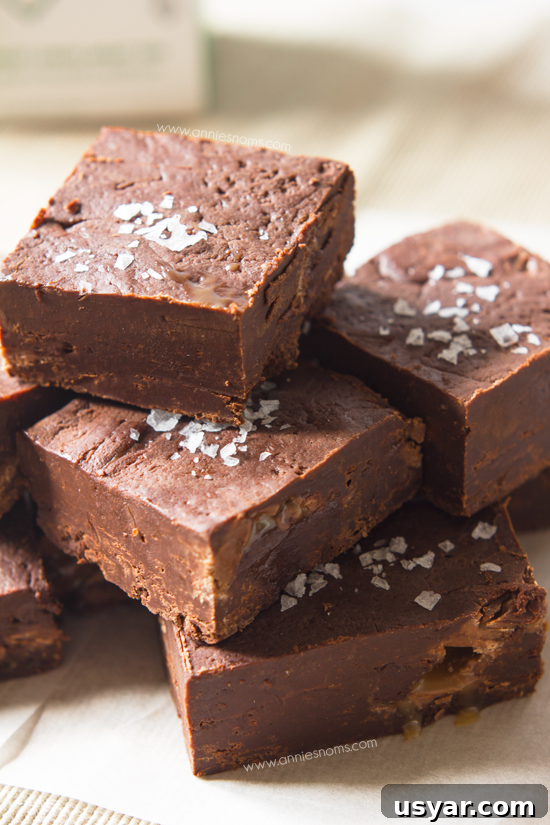 Salted Caramel Fudge Recipe from Secret Recipe Club 5 Salted Caramel Fudge | Annie's Noms