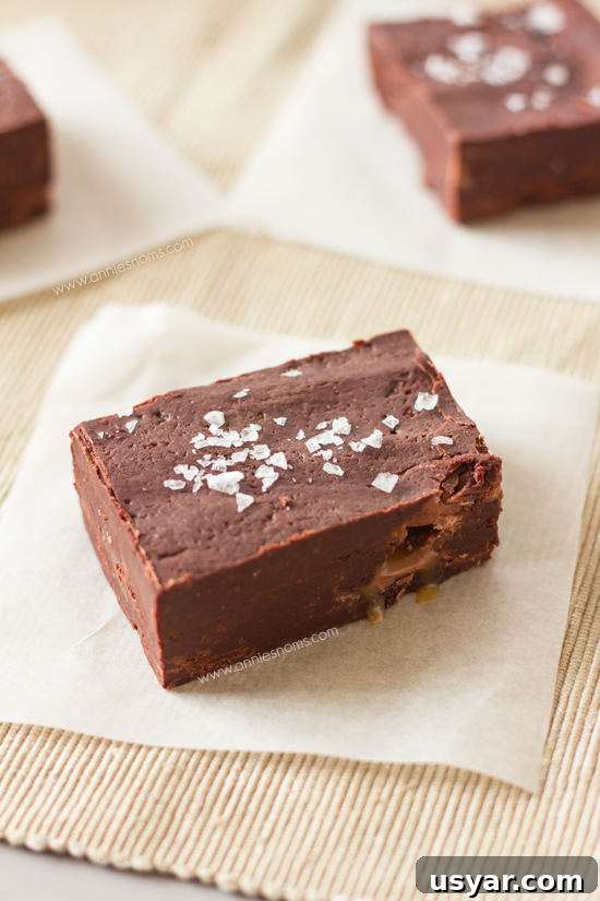 Salted Caramel Fudge Recipe from Secret Recipe Club 6 Salted Caramel Fudge | Annie's Noms
