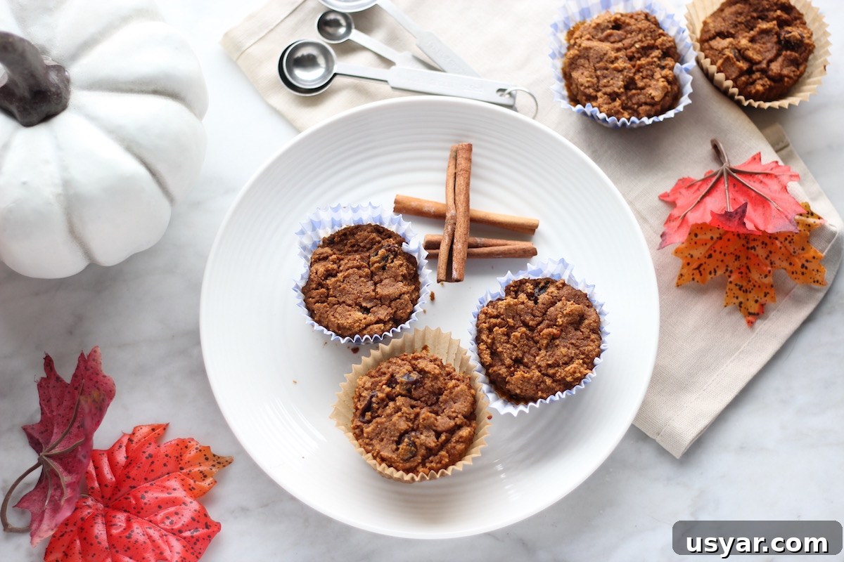 AIP Paleo Pumpkin Spice Muffins 7 Paleo Pumpkin Spice Muffins (AIP) - soft, lightly sweet pumpkin muffins are allergy-friendly and a perfect Fall treat! | fedandfulfilled.com
