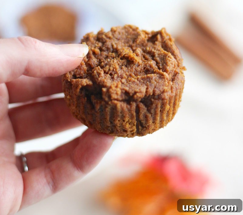 Paleo Pumpkin Spice Muffins (AIP) - tasty, healthy muffins that are both Paleo and vegan, featuring pumpkin, raisins, and tigernut flour! | fedandfulfilled.com