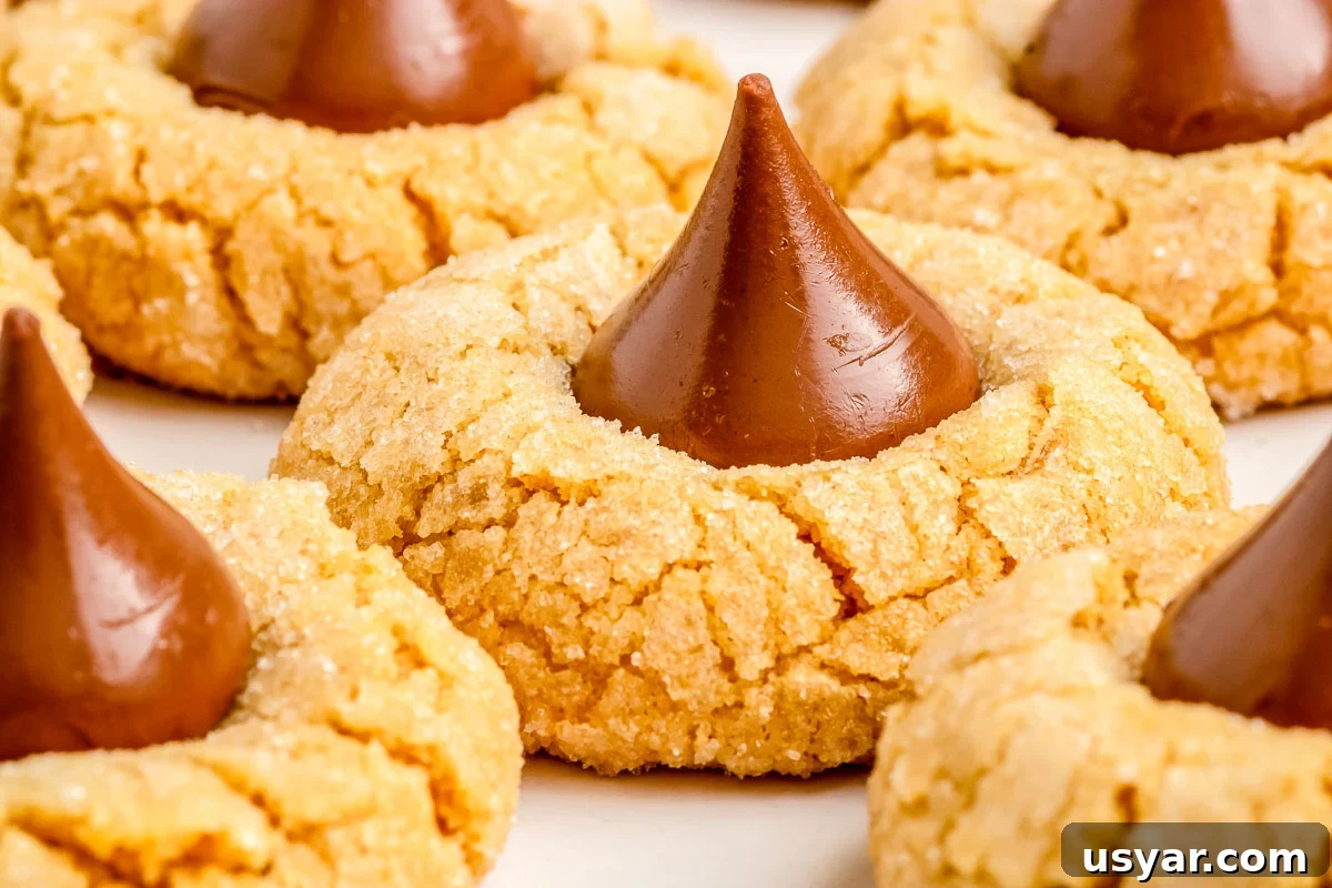 Classic Hershey Kiss Cookies Recipe 2 Hershey Kiss Cookies on a holiday cookie tray