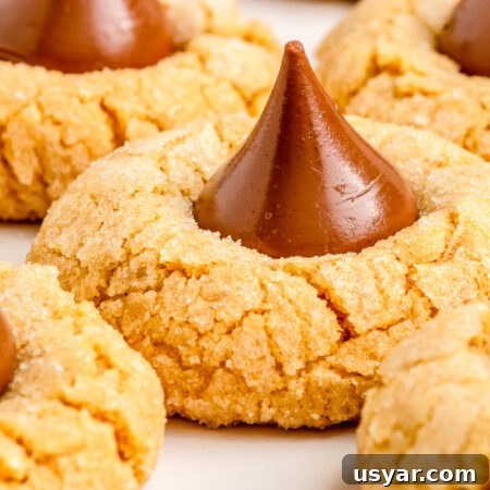 Classic Hershey Kiss Cookies Recipe 11 Hershey Kiss Cookies recipe
