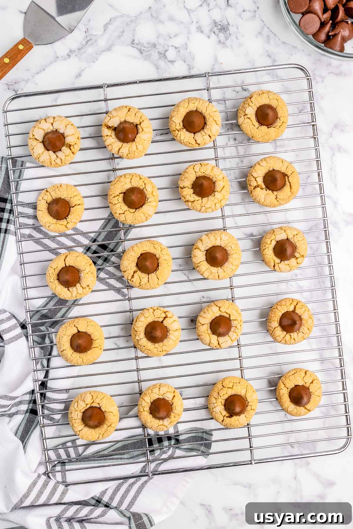 Classic Hershey Kiss Cookies Recipe 7 Freshly baked Hershey Kiss Cookies cooling