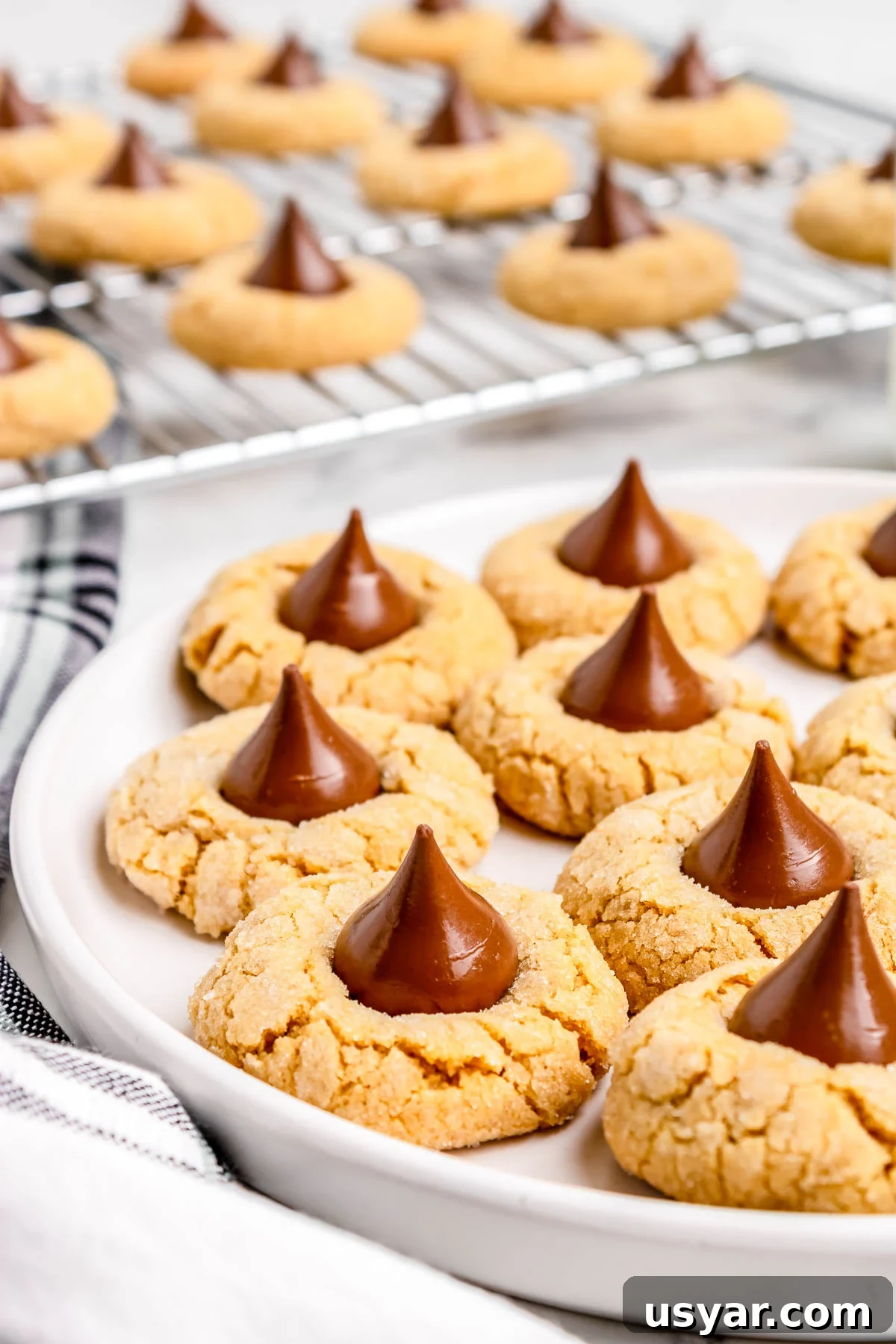 Classic Hershey Kiss Cookies Recipe 8 Holiday Hershey Kiss Cookies