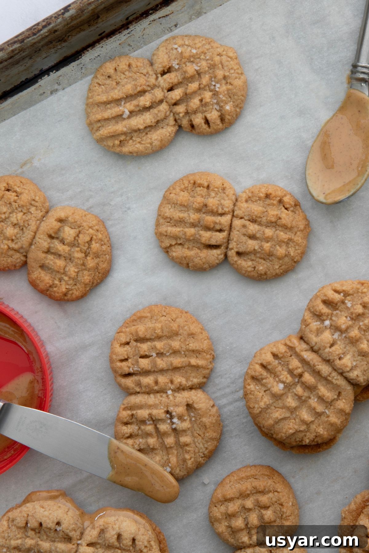 Homemade Copycat Nutter Butter Cookie Recipe 11 img 44068 10