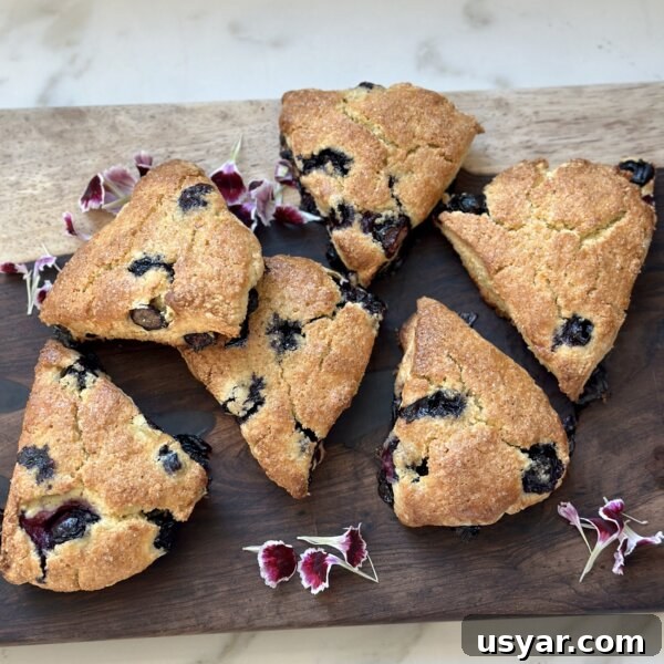 grain-free blueberry scones