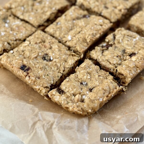 flourless monster cookie bars