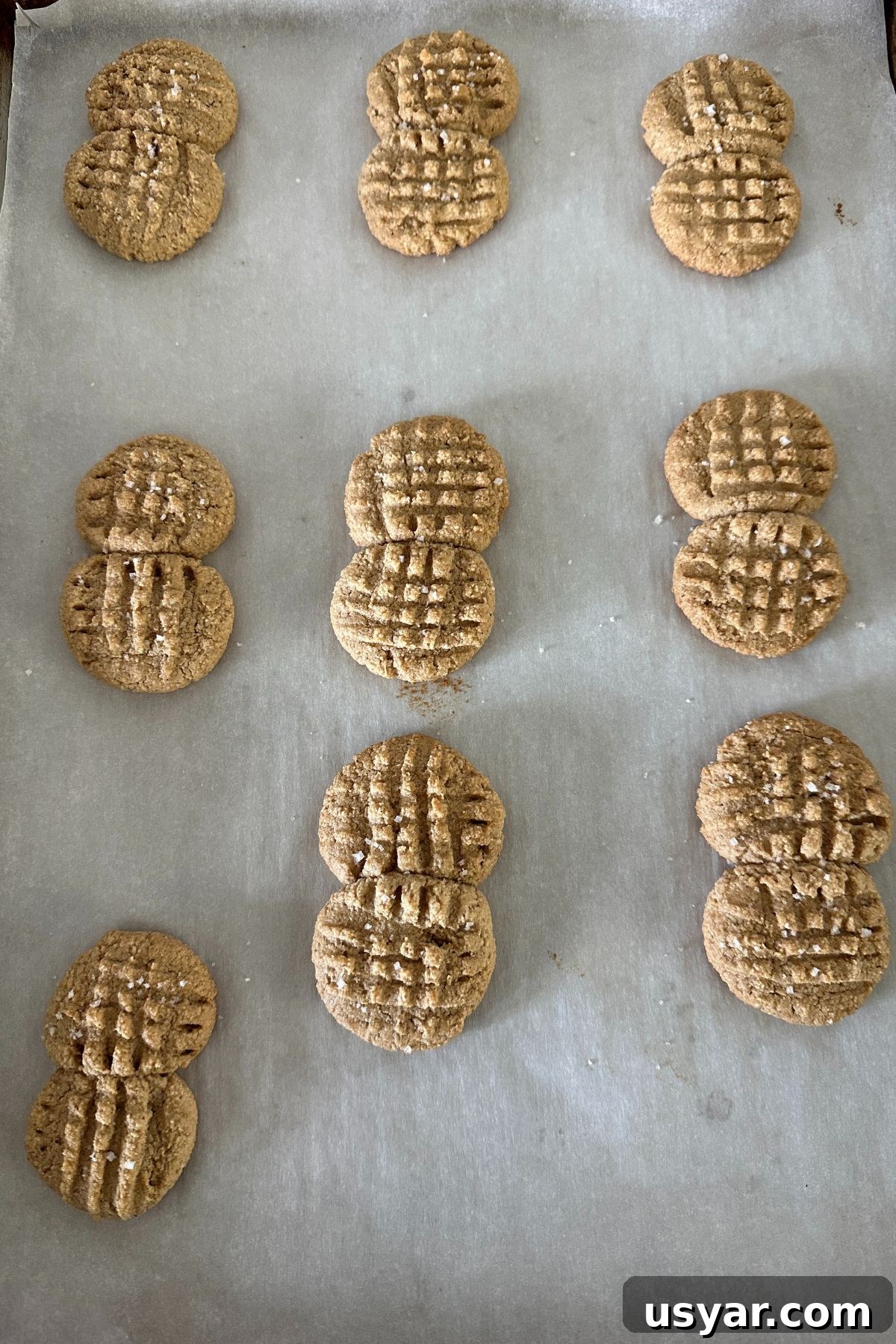 Homemade Copycat Nutter Butter Cookie Recipe 6 Overhead view of homemade Nutter Butter cookies with flaky salt on top, showing signature peanut shape