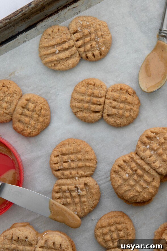 Homemade Copycat Nutter Butter Cookie Recipe 7 Freshly baked Nutter Butter cookies cooling on parchment paper, golden and crisp