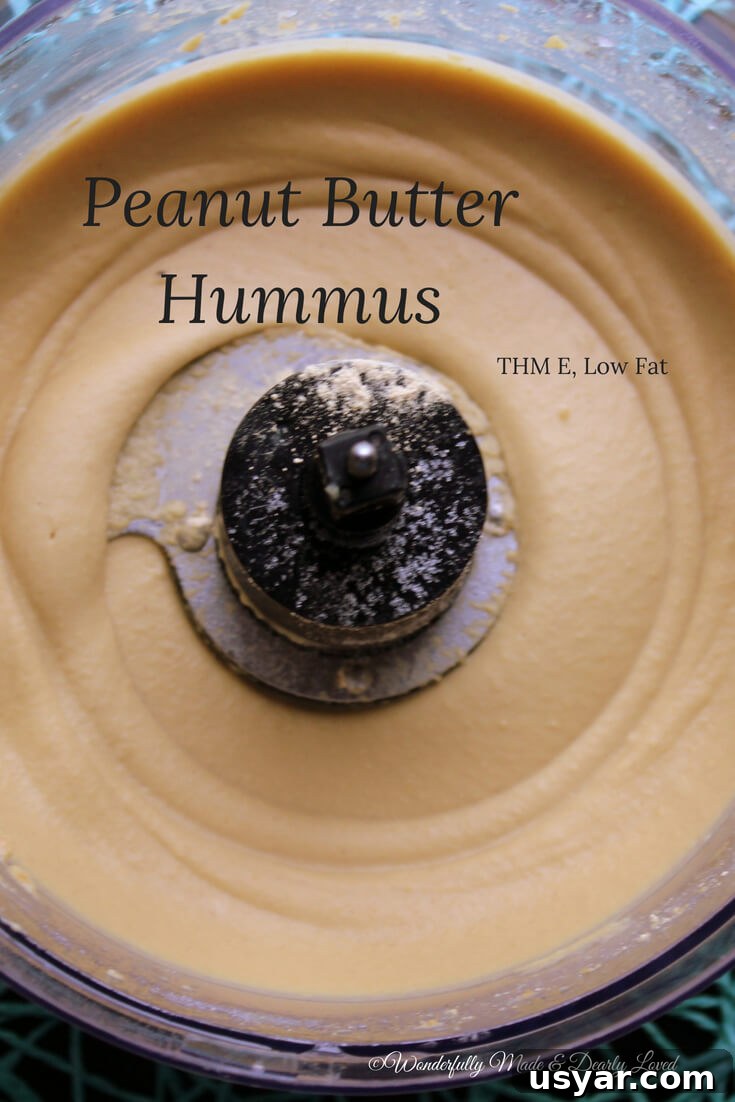Creamy Peanut Butter Hummus Recipe 3 Peanut Butter Hummus (THM E, Low Fat)