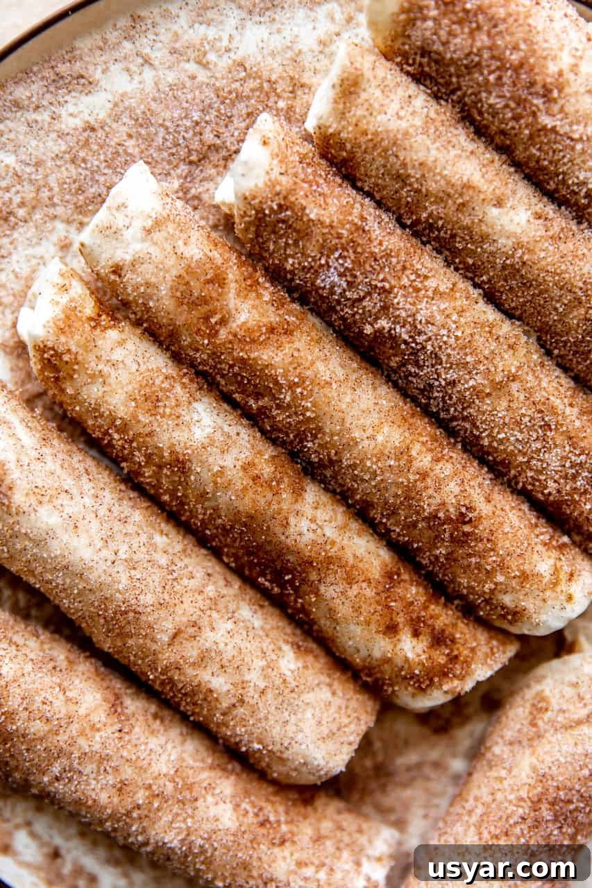 Cinnamon Sugar Tortillas Recipe: Crispy Sweet Treat 6 Row of cinnamon sugar tortillas laid next to each other on a plate.