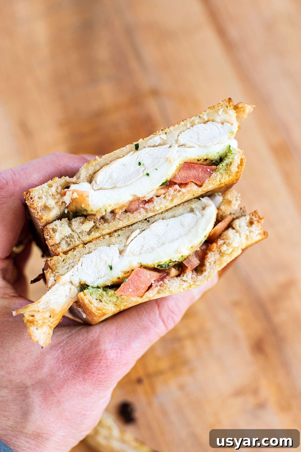Chicken Pesto Panini with Mozzarella and Tomatoes 52 Chicken Pesto Panini Recipe