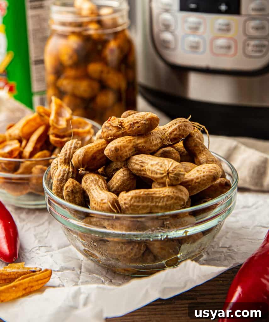 Spicy Cajun Boiled Peanuts in the Instant Pot 2 Instant Pot Boiled Peanuts Spicy