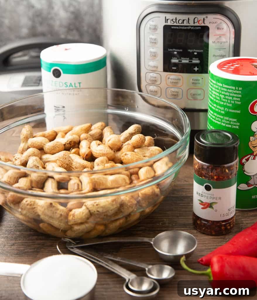 Spicy Cajun Boiled Peanuts in the Instant Pot 3 Ingredients for cajun boiled peanuts