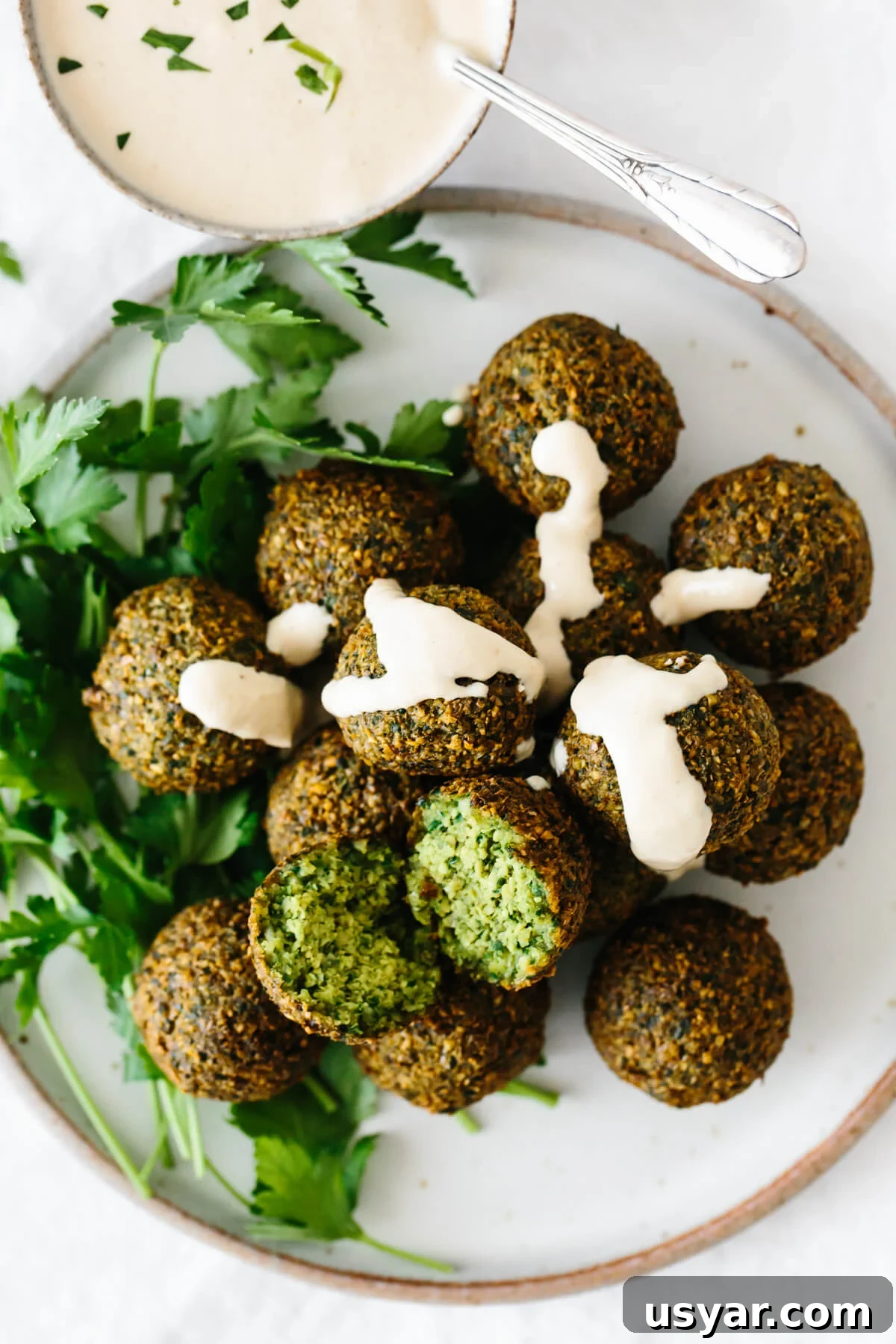 70+ Vegetarian Recipes: Quick, Flavorful Meal Ideas 2 A plate of falafel drizzled with tahini sauce.