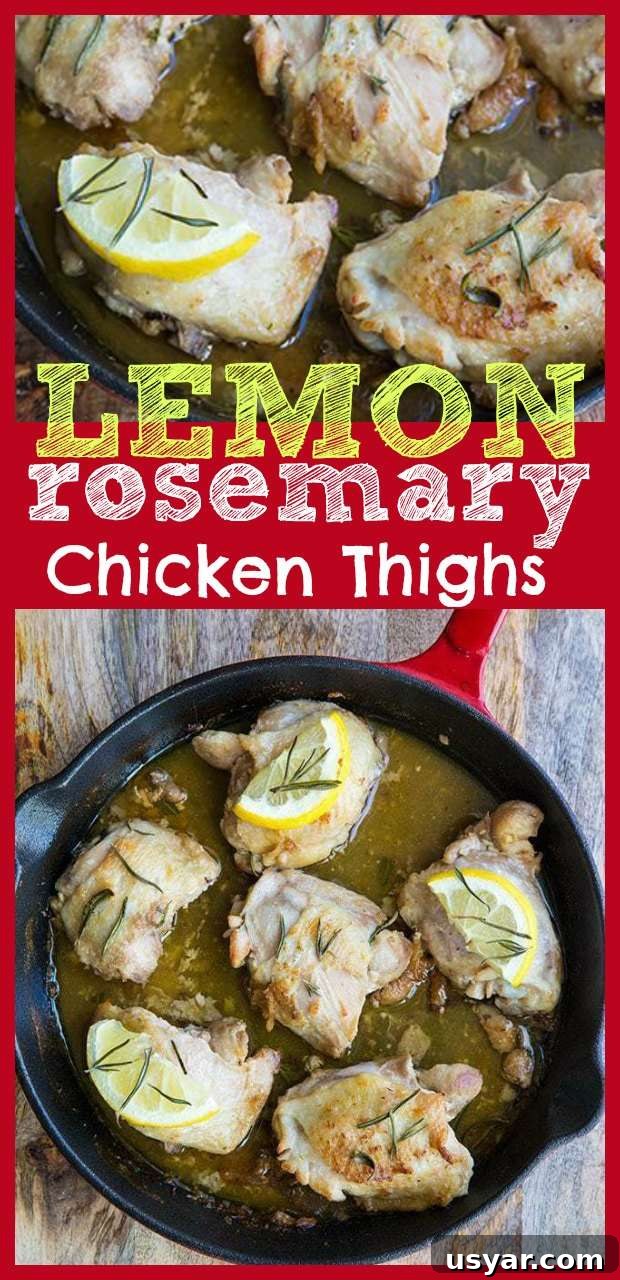 Oven Baked Lemon Rosemary Chicken Thighs 4 lemon rosemary chicken thighs oven baked chicken recipe