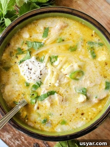 Square image of soup in a green bowl and garnished with sour cream, extra cheese, and cilantro.