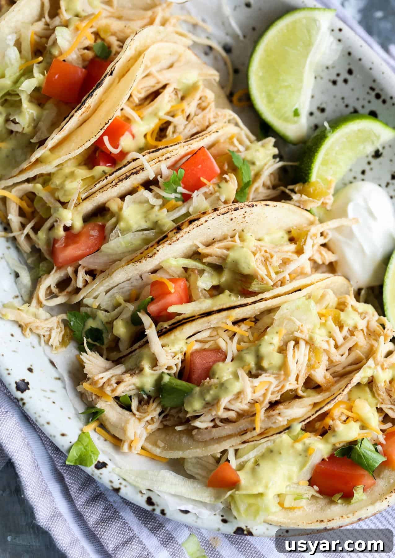 This Beergarita pulled chicken is a citrus, Tex-Mex, flavor-packed pulled chicken recipe! Sweet and smoky, this easy Crock Pot chicken recipe is great on tacos, over rice, in quesadillas and beyond! Beergarita chicken tacos on a plate with toppings