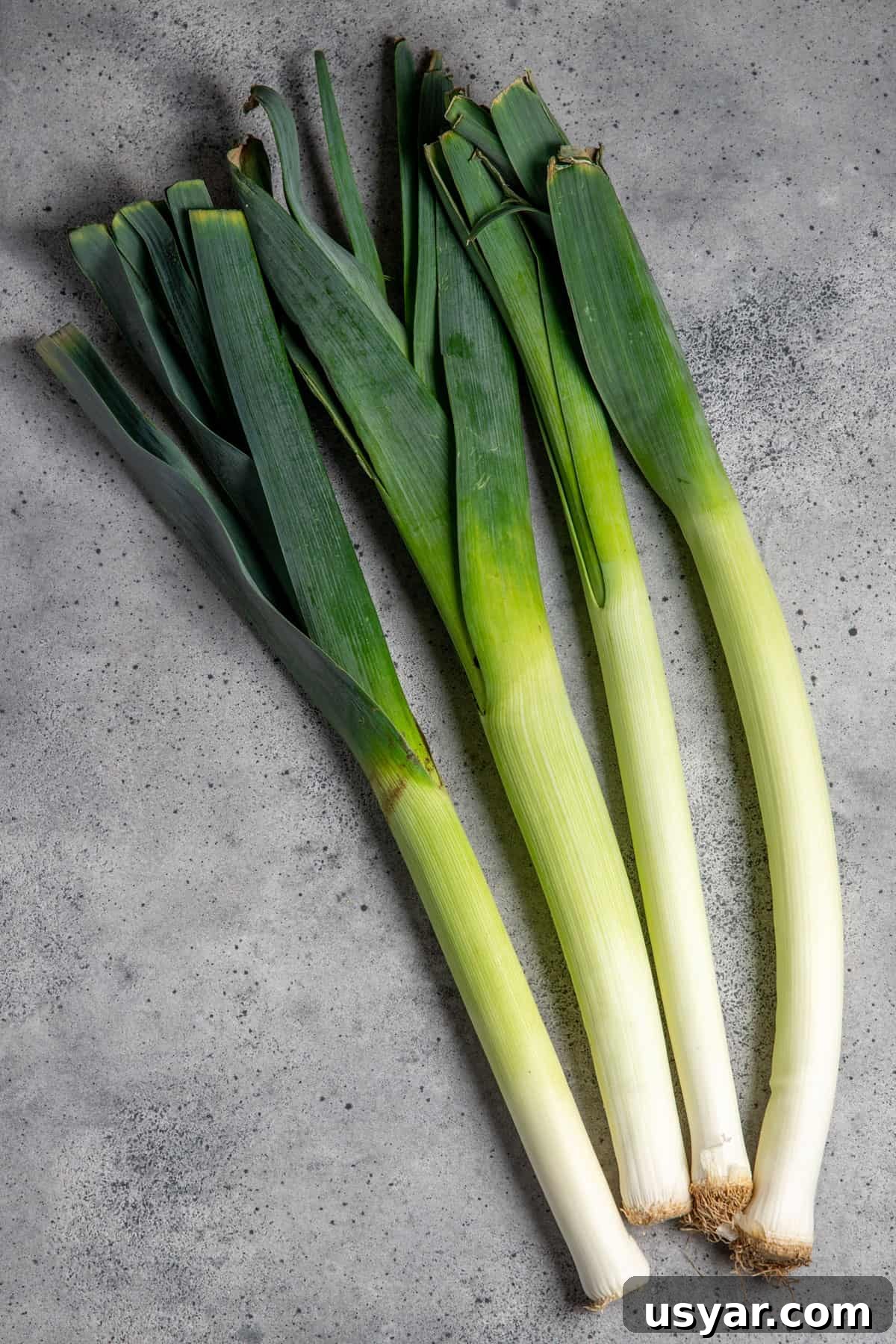 Creamy Vegan Leek and Potato Soup Vichyssoise 3 Photo of untrimmed fresh leeks on a grey surface.