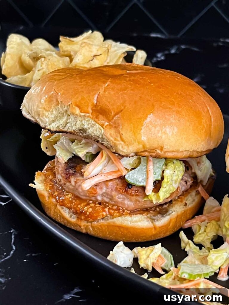 Carolina-Style Grilled Chicken Burger Recipe 20 Grilled chicken burger with Carolina barbecue sauce and ancho slaw. on a black plate.