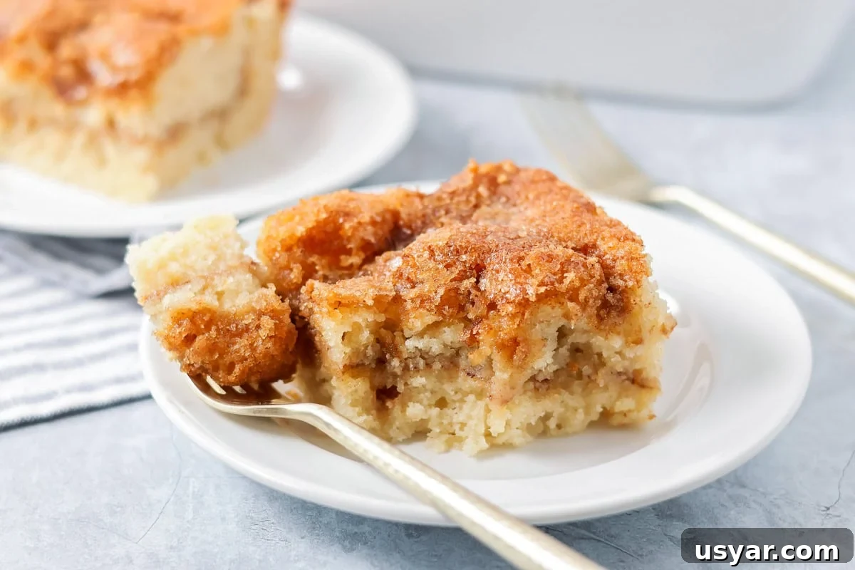 Classic Cinnamon Coffee Cake with Crumb Topping 8 Easy coffee cake recipe with bite taken out of it - served on white plate.