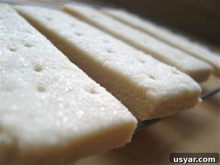 Buttery Shortbread Cookies Recipe 2 Shortbread Cookies Recipe | sophisticatedgourmet.com