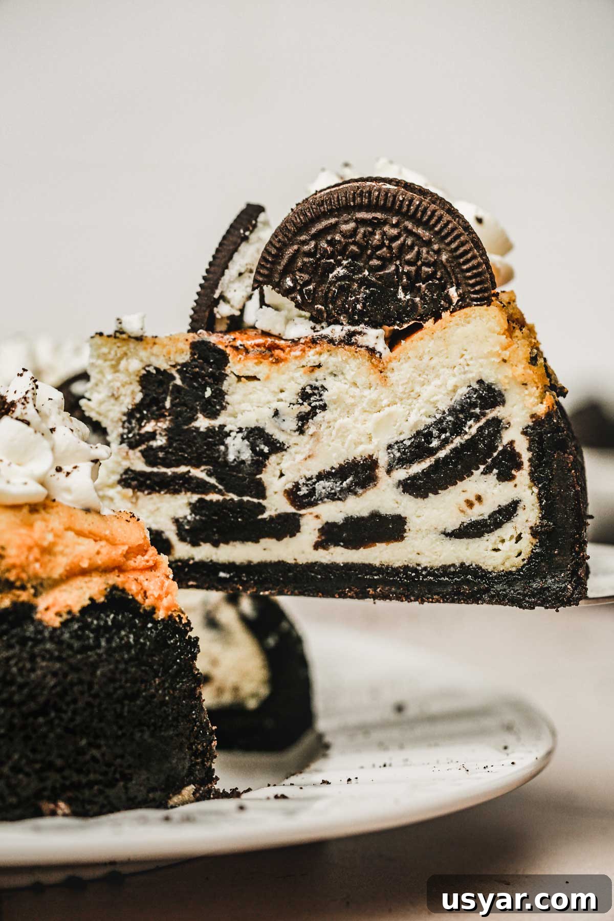 slice of baked oreo cheesecake showing creamy texture