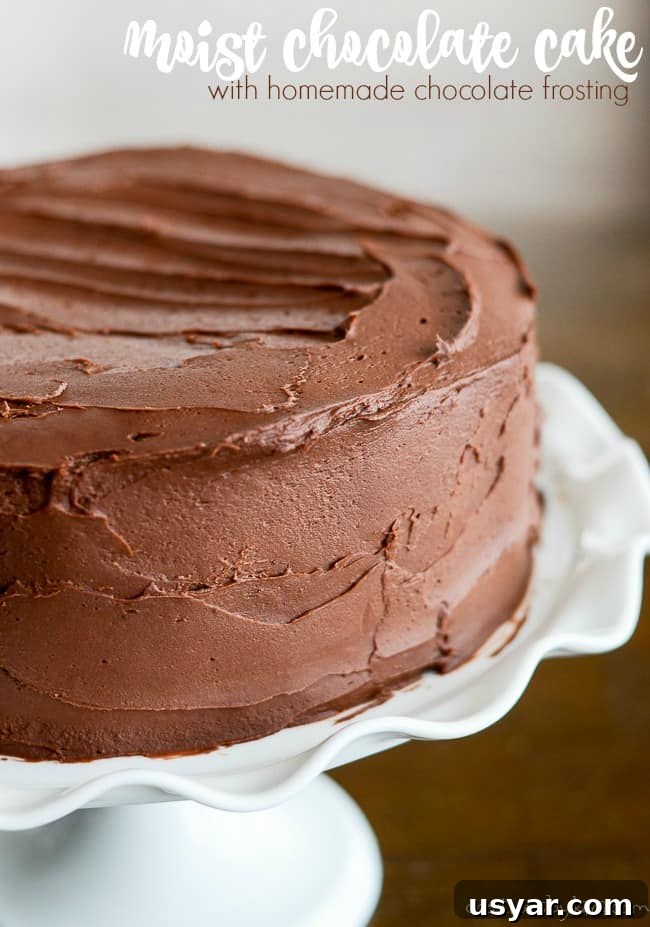 Decadent Homemade Chocolate Cake Recipe with Chocolate Frosting 2 two layer chocolate cake with chocolate frosting title photo