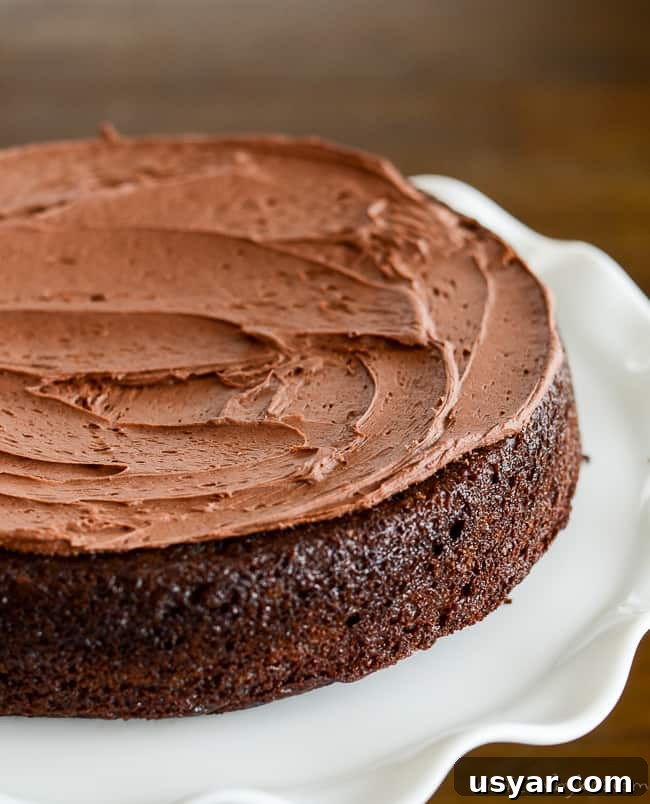 Decadent Homemade Chocolate Cake Recipe with Chocolate Frosting 5 cake with a layer of chocolate frosting