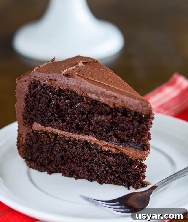 Decadent Homemade Chocolate Cake Recipe with Chocolate Frosting 6 slice of two layer cake with chocolate frosting on a plate with a fork