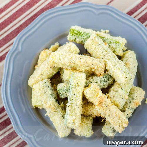 New Cookbook Recipe: Personal Letter from a Reader 2 Zucchini Fries | Recipe from the Low-Carb So Simple 'Easy Everyday Recipes' Cookbook