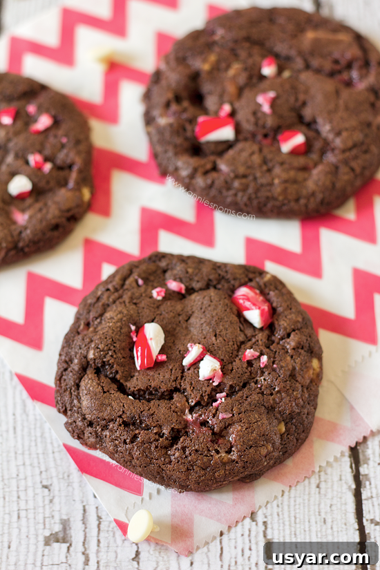 Soft and fudgy candy cane chocolate cookies with white chocolate chunks.