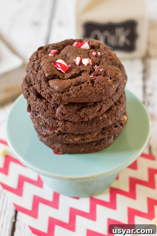 Chocolate fudge cookies with crushed candy canes and white chocolate.