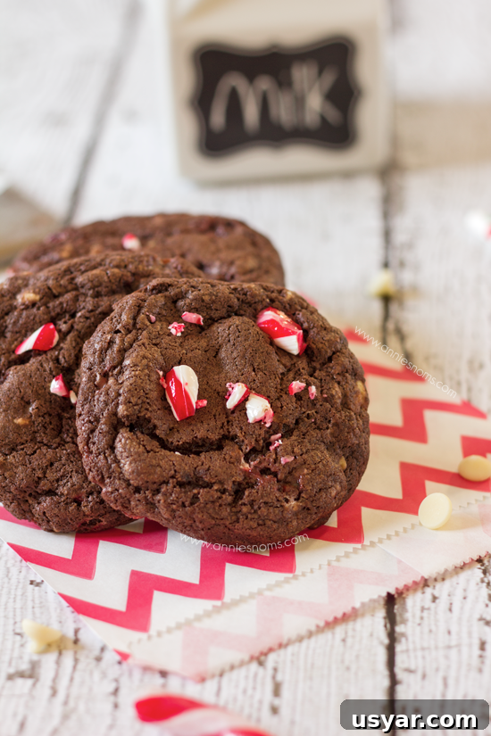 Festive peppermint fudge cookies with white chocolate chunks.